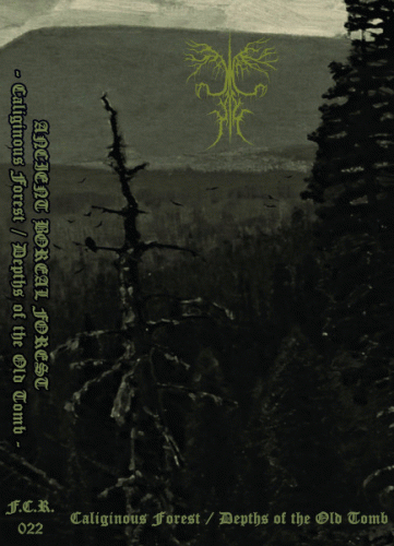 Ancient Boreal Forest : Caliginous Forest - Depths of the Old Tomb